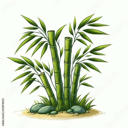 Green bamboo plant with fresh leaves, isolated on white background, a natural botanical element for your design