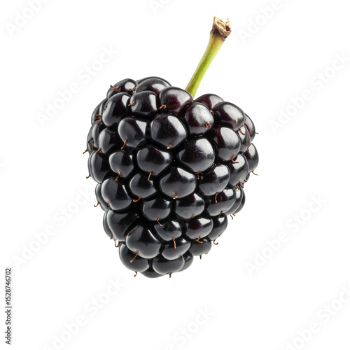 Isolated blackberry close up shot fresh organic blackberry fruit healthy eating concept