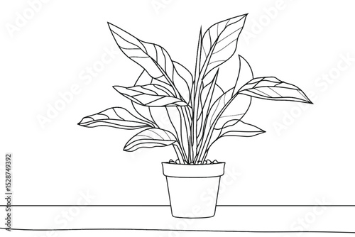Continuous line drawing of a flower in a pot. Beautiful flower Isolated on a white background. Vector illustration