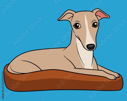 dog on the bed