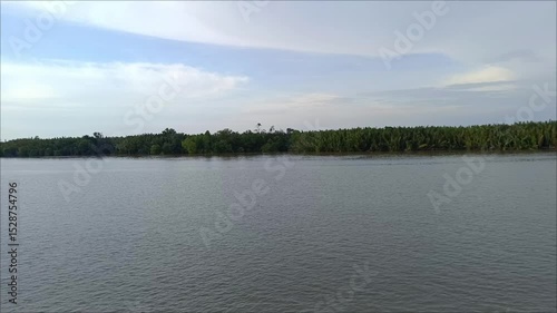 View of the coastal forest in the morning.