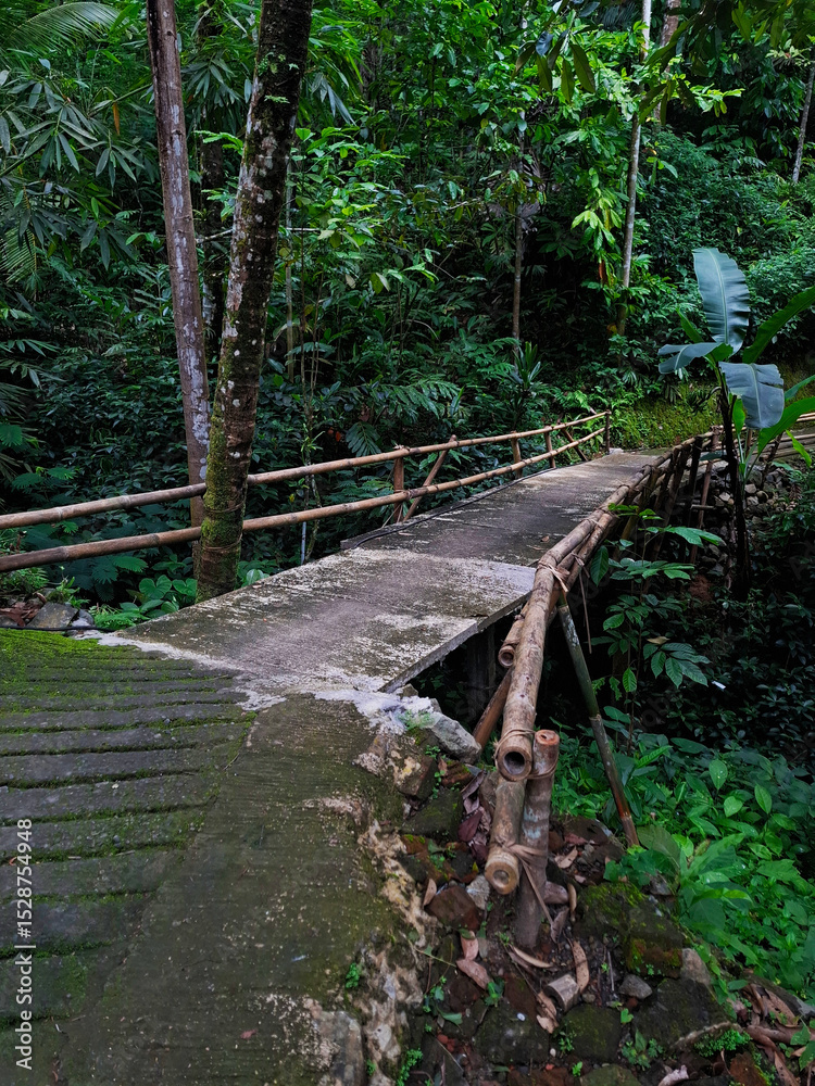 Fototapeta premium wooden bridge in the forest