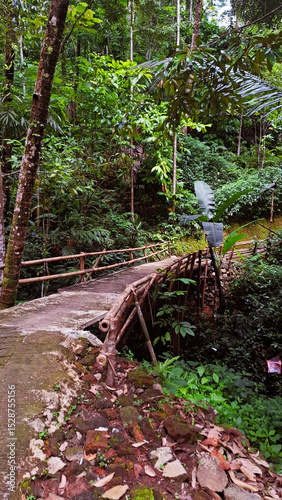 Wallpaper Mural old bridge in the forest illuminated by direct light from the sun Torontodigital.ca