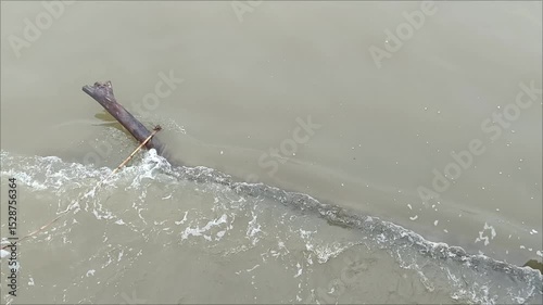 River water flow and tree trunk litter.