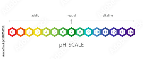 PH Scale. Acid and alkaline solution infographic. Chemical analysis or test. Vector illustration in flat style.