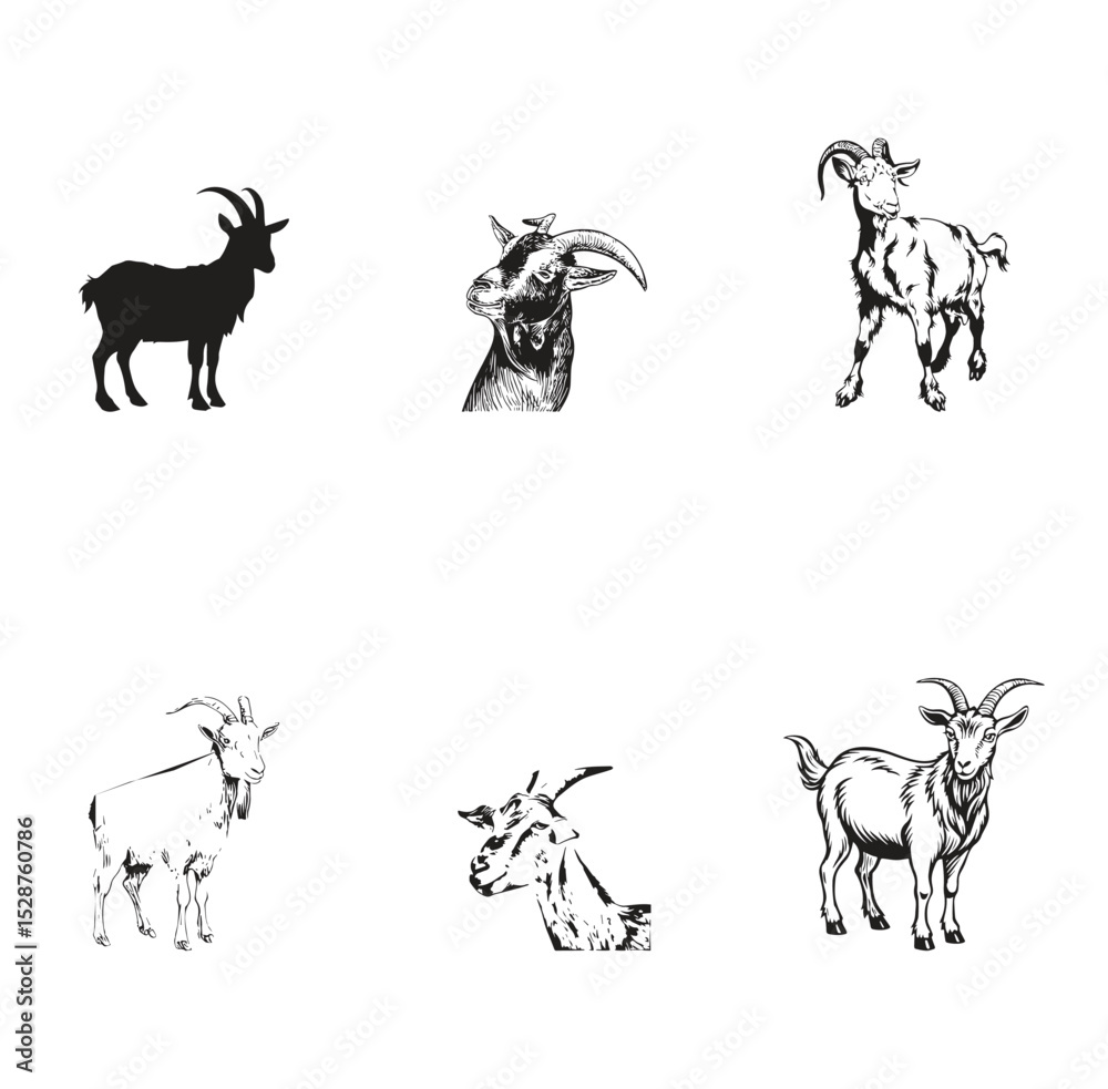 Fototapeta premium Group goat vector design