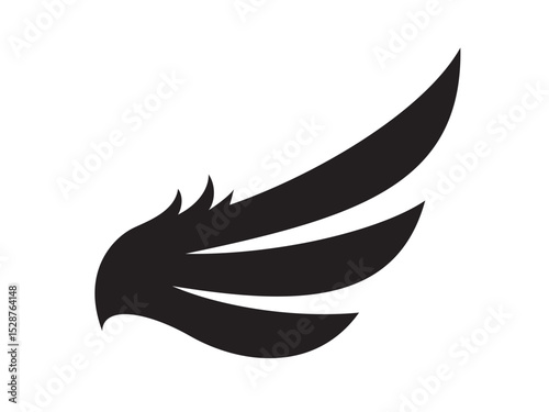 The Art of Flight A Study of Wing Design