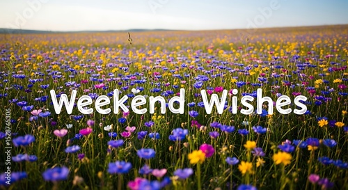 Vibrant Wildflower Meadow Weekend Wishes Greeting Card Nature Background