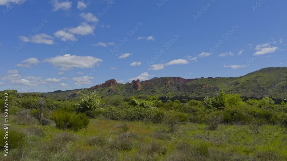 Beautiful View Of A Forest Next To A Small Hill With Green Vegetation Beautiful View Of A Forest Next To A Small Hill With Green Vegetation