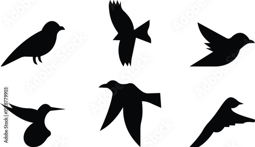 Birds icon set, Flying birds, animals, black silhouette, monochrome bird logo, abstract sticker on house wall or glass, Printable, protect birds from impact vector symbols, template designs art 