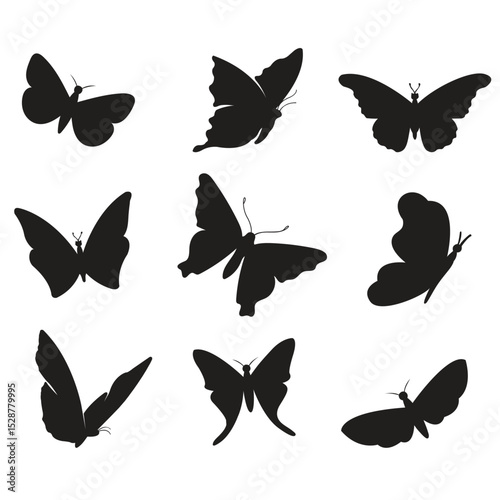 Butterfly Vector set