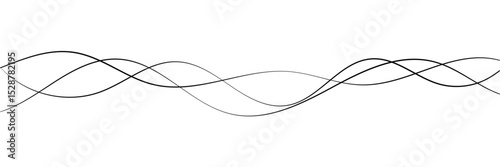 Curved black long lines on white, Wavy line horizontal divider outline minimalist background. Abstract black lines wave curve motion on white background in eps 10.