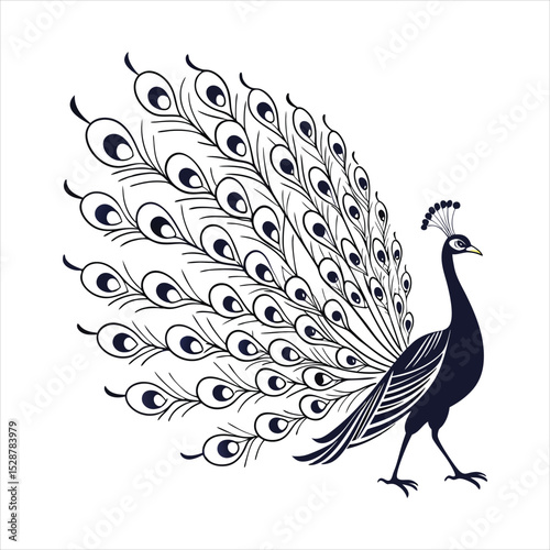 silhouette peacock on white background