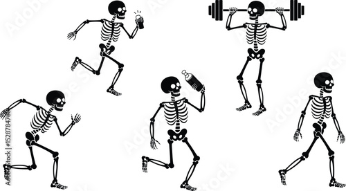 Funny skeletons running, drinking, lifting weights, exercising, holding bottles, fitness activity, workout humor, skeleton gym, Halloween concept, cartoon bones characters.

 flat vector illustration