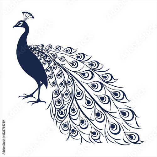 silhouette peacock on white background