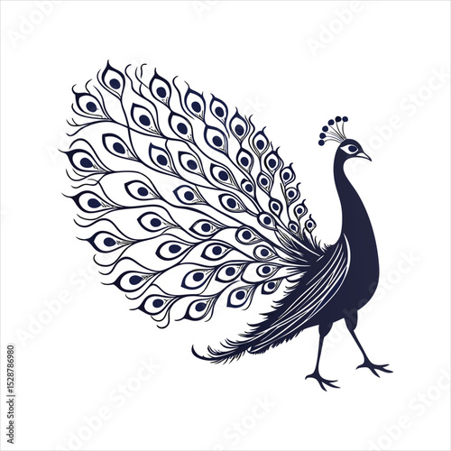 silhouette peacock on white background