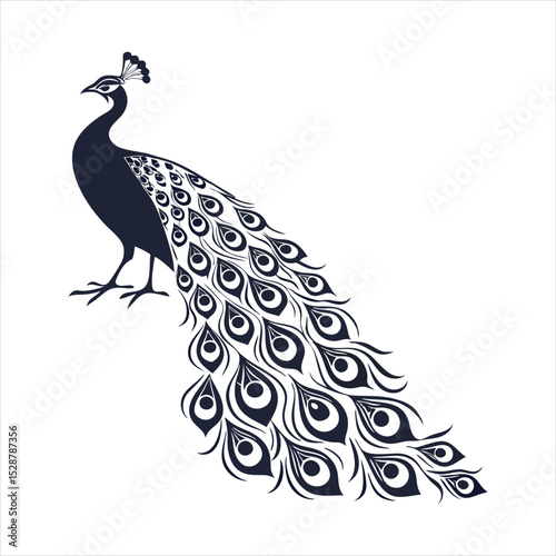 silhouette peacock on white background