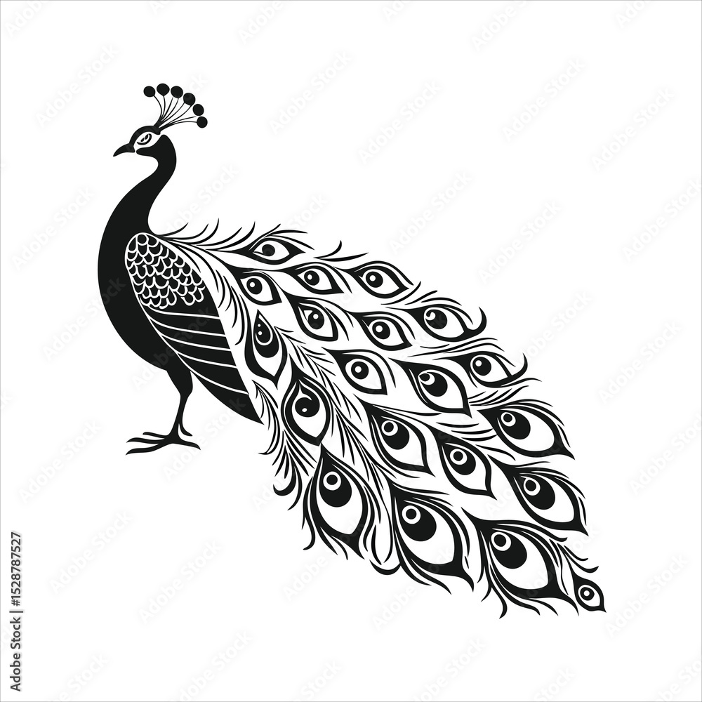 Fototapeta premium silhouette peacock on white background