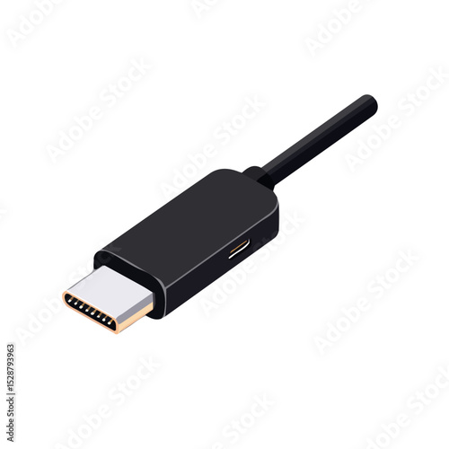 USB-C Adapter 2D flat vector illustration, isolated on a white background.