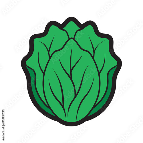 Napa Cabbage With Minimal Vector Drawing
