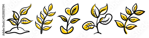 doodle plant vector, doodles tree