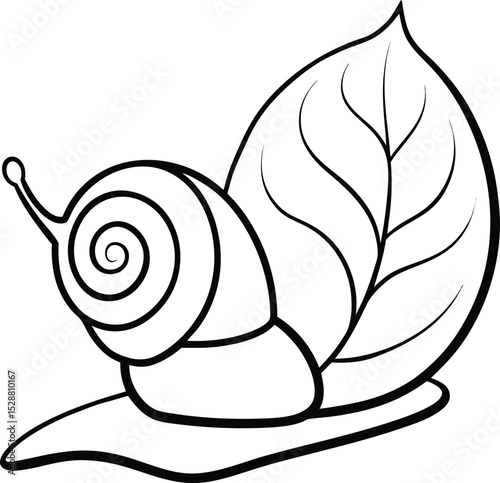 Snail on a Leaf Black and White Line Art Illustration