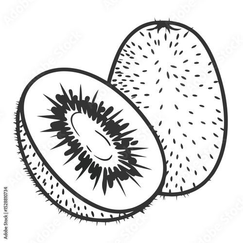 Kiwi Fruit Illustration Whole and Halved Kiwi Isolated on White Background