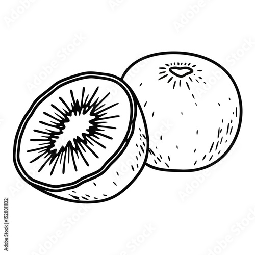Fresh Kiwi Fruit Isolated on White Background