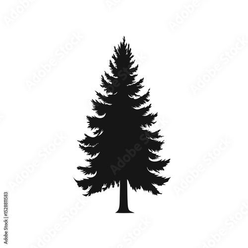 Silhouette of tall pine tree with detailed coniferous branches isolated on white background minimalist nature vector illustration