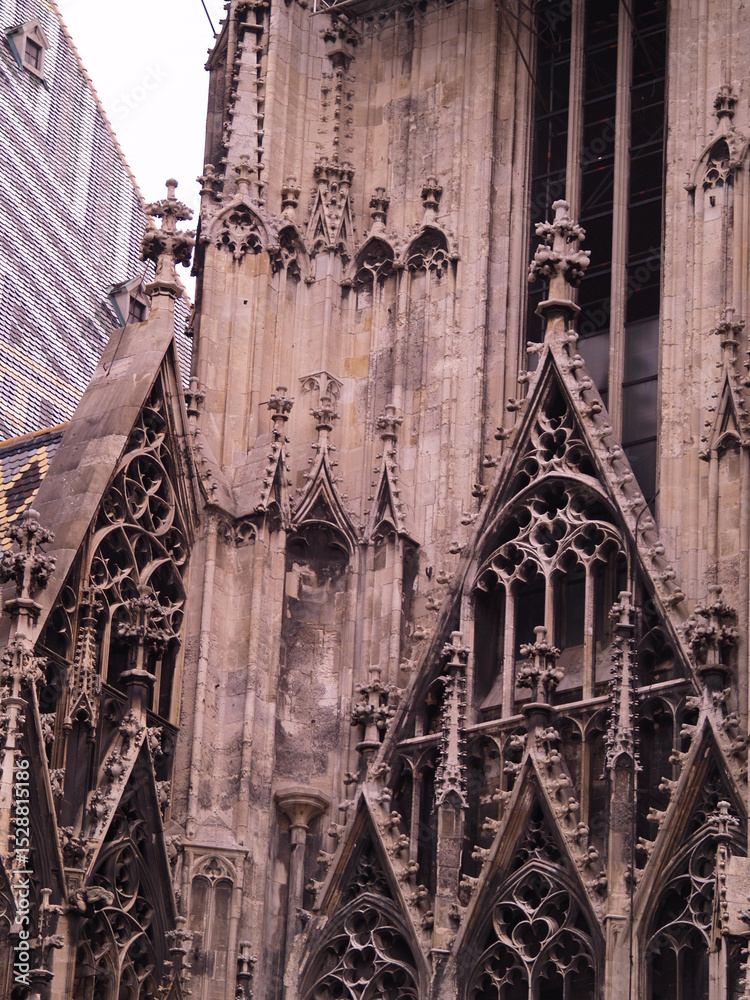 Naklejka premium Gothic Elegance