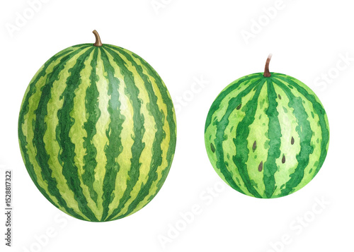 Two ripe watermelons showcasing their vibrant green striped skin.