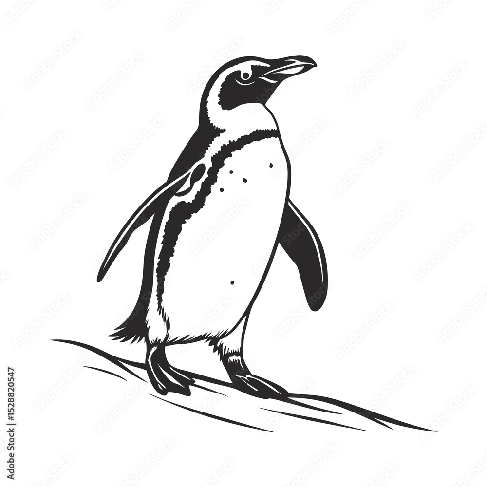 Fototapeta premium silhouette penguin on white background