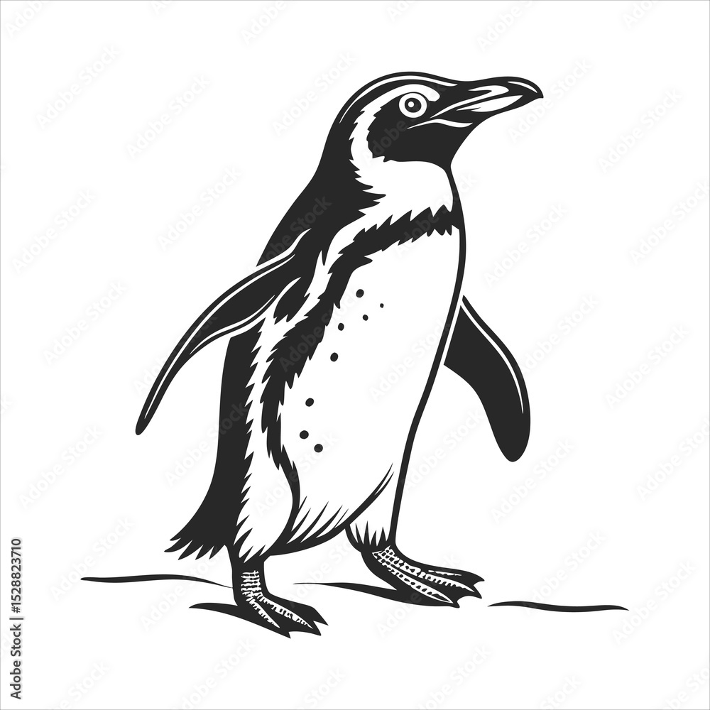 Fototapeta premium silhouette penguin on white background