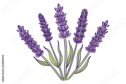 Elegant Illustration of a Lavender Bouquet
