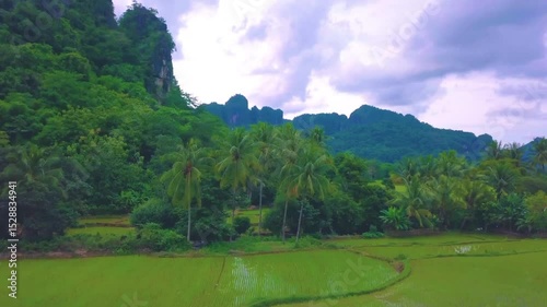 A Breathtaking Journey Through the Lush Green Rice Fields of the Countryside