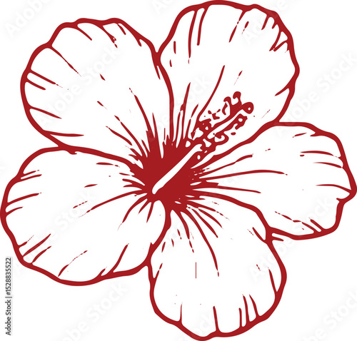 A stunning hand-drawn hibiscus flower illustration with bold red outlines and intricate white detailing, featuring a prominent central stamen. Ideal for floral designs, tattoos, posters, 