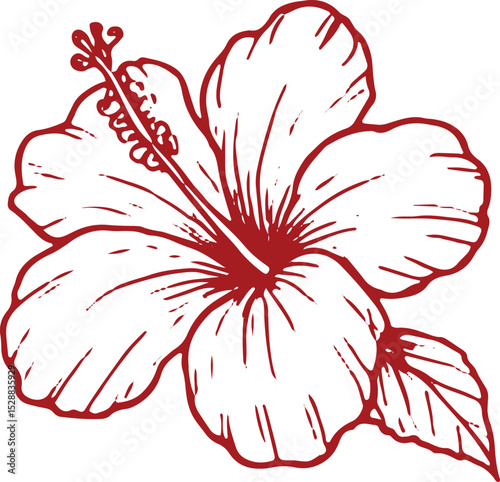 A beautifully hand-drawn hibiscus flower with vibrant red outlines and white fill, featuring detailed petals, stamen, and a single leaf. Perfect for floral designs, tattoos, fabric prints, posters, or
