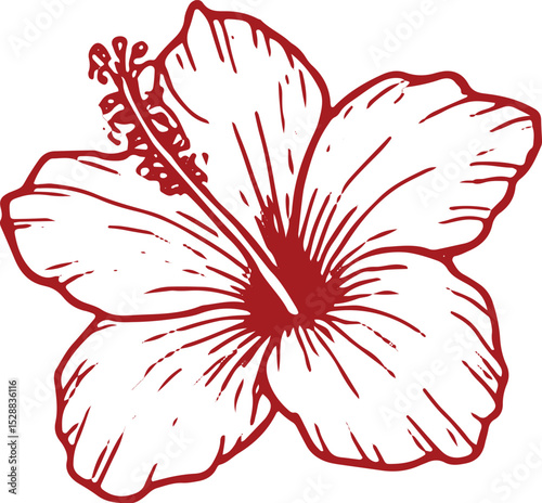 A stunning hand-drawn hibiscus flower illustration with bold red outlines and intricate white detailing, featuring a prominent central stamen. Ideal for floral designs, tattoos, posters, 