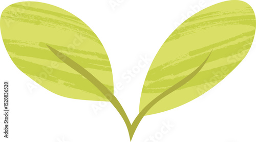 Lemon Leaves – Green Botanical Flat Vector Illustration - Healthy Vegan Lemonade