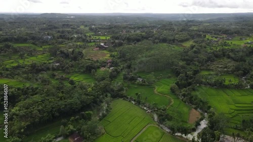 A Breathtaking Journey Through the Lush Green Rice Fields of the Countryside