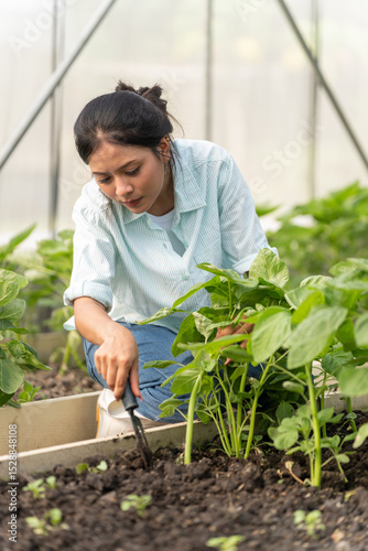 Young Asian woman farmer working happily and joyfully in hydroponic vegetable greenhouse farm. Small Business, Business Owner