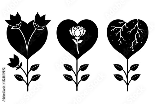 Three heart shaped plants growth bloom and decay