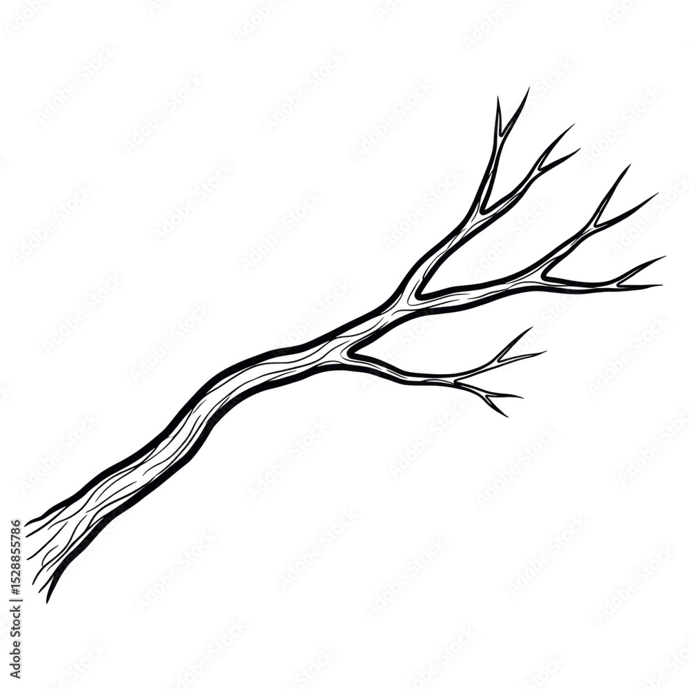 Fototapeta premium Intricate bare tree branch on black background depicting nature's simplicity transparent PNG