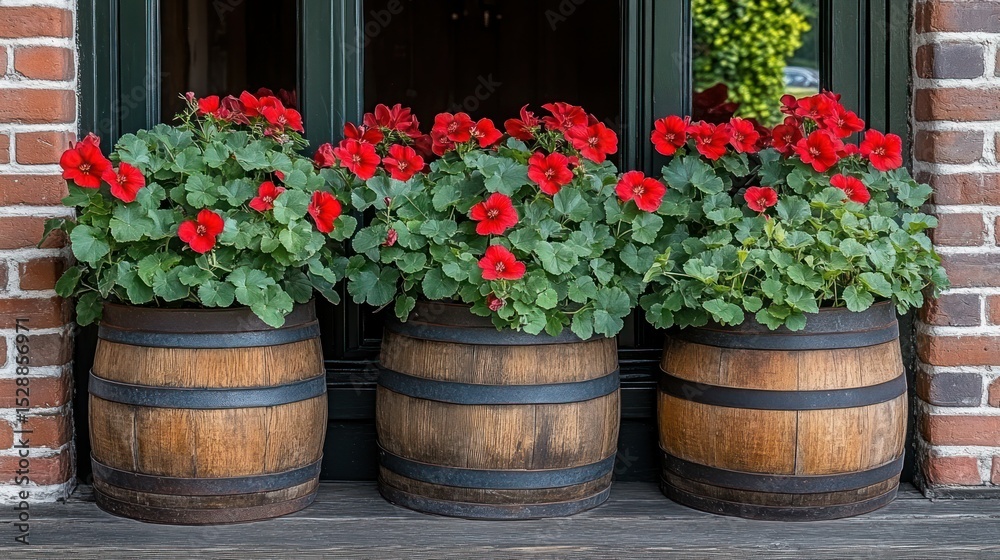 Fototapeta premium Red flowers in aged wooden barrels