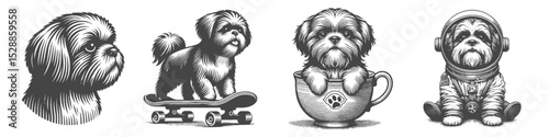 Vintage Hand-Drawn Shih Tzu Astronaut and Skateboard Collection Illustration, Space and Urban Animal Engraved Style Vector for T-Shirts and Adventure Themes Design