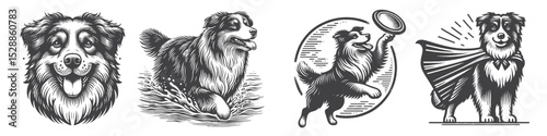 Vintage Hand-Drawn Australian Shepherd Dog Collection Illustration, Playful Pet Engraved Style Vector for T-Shirts and Action Adventure Themes Design