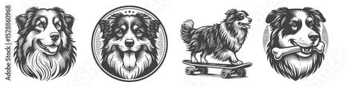 Vintage Hand-Drawn Australian Shepherd Dog Collection Illustration, Playful Pet Engraved Style Vector for T-Shirts and Urban Fun Themes Design