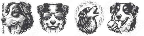 Vintage Hand-Drawn Dog Australian Shepherd Collection Illustration, Pets Animal Engraved Style Vector for T-Shirts and Dessert and Wilderness Themes Design