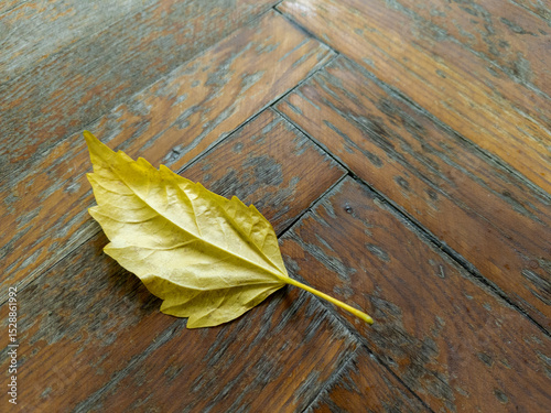 A single yellow leaf laying on a wooden floor
