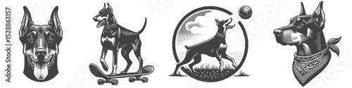 Vintage Hand-Drawn Dog Doberman Collection Illustration, Pets Animal Engraved Style Vector for T-Shirts and Skateboard and Fashion Themes Design